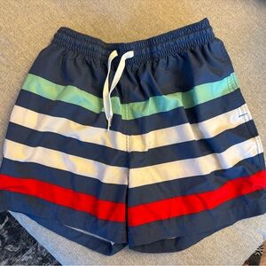 Chubbies Blue and White Mesh Lined Shorts